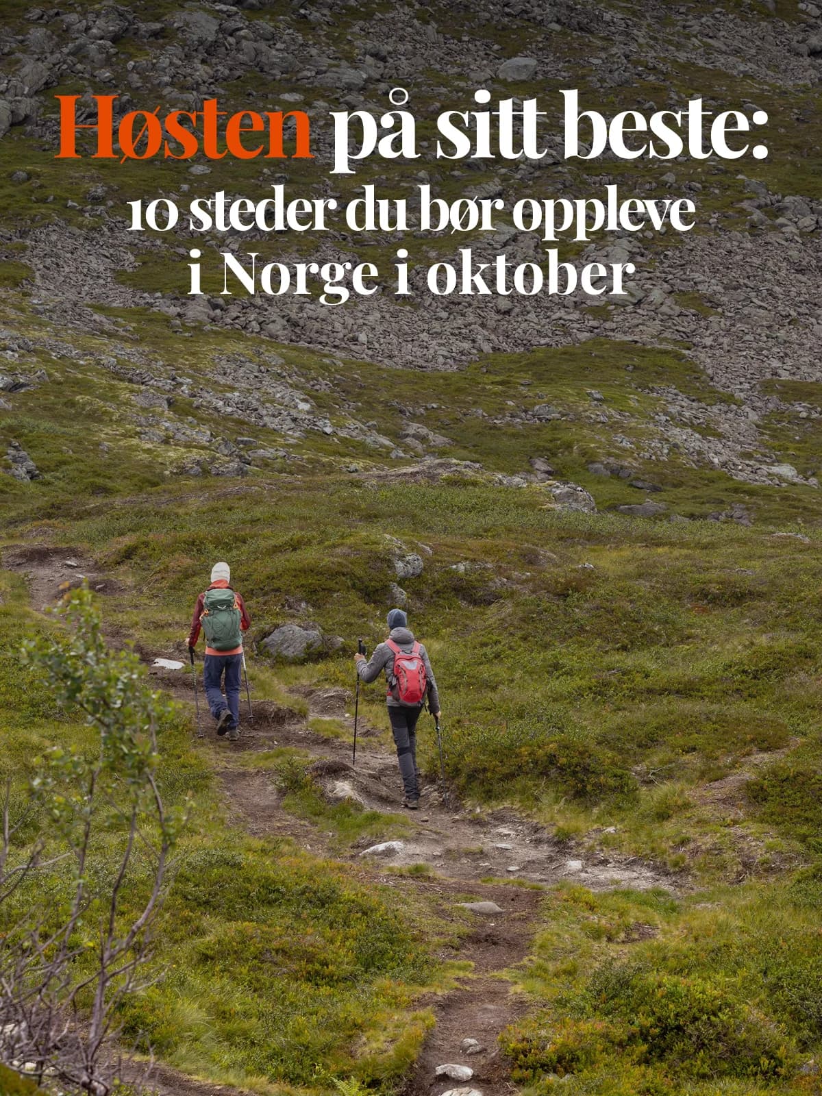 Høstens vakreste sider: 10 steder du bør besøke i Norge i oktober